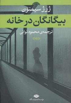 بیگانگان در خانه 