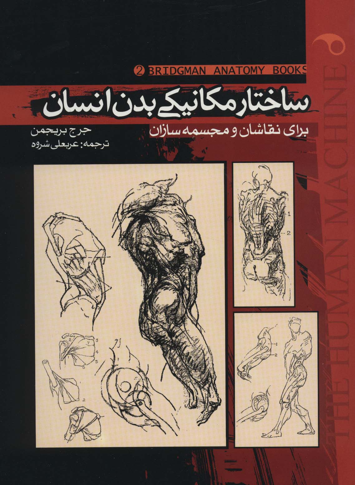ساختار مکانیکی بدن انسان (2)