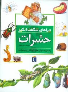 چراهای شگفت‌انگیز (حشرات)(محراب قلم)