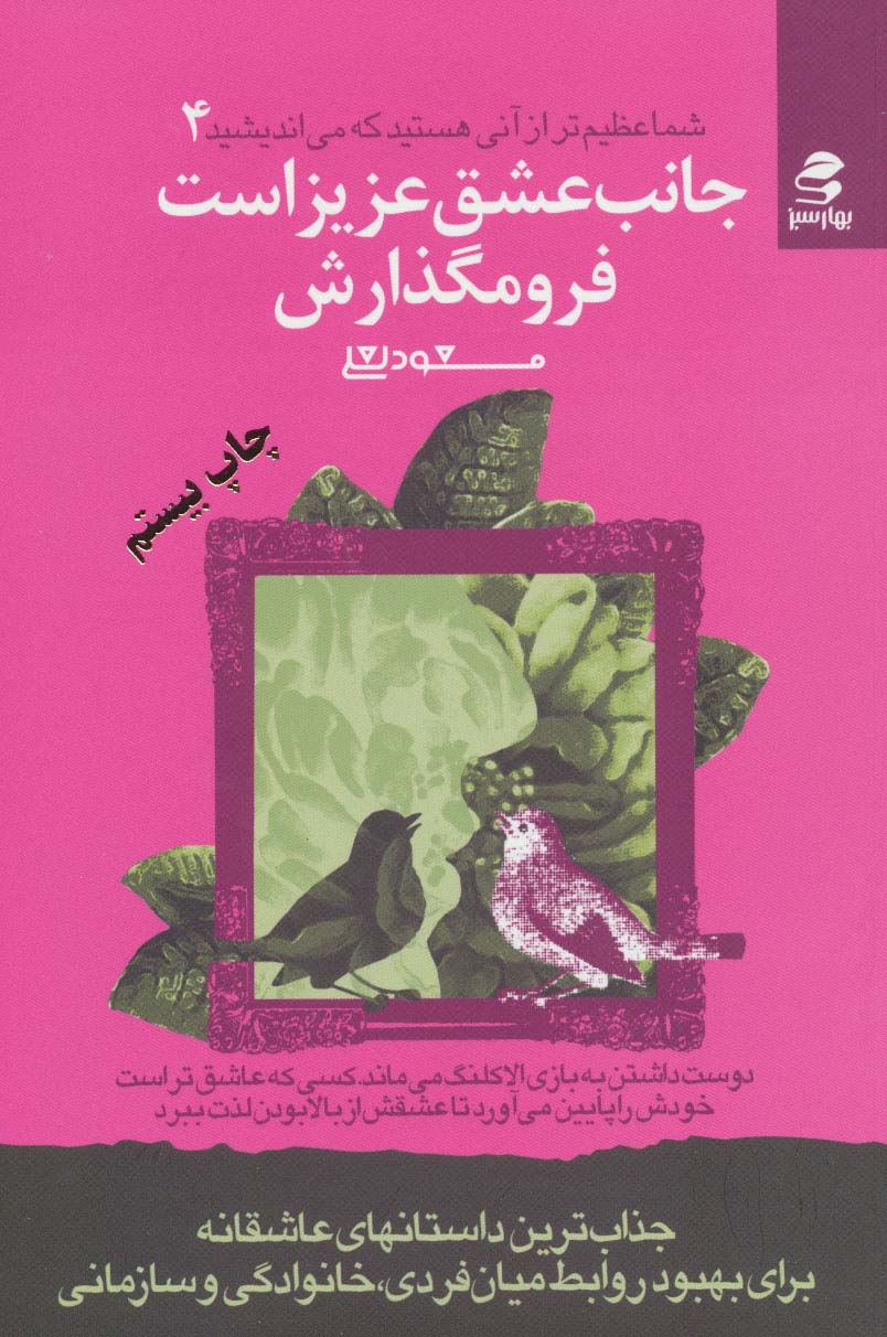 شما عظیم‌‌تر (4)(جانب عشق عزیز است فرو مگذارش)