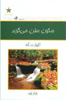سکون سخن می‌گوید 