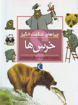 چراهای شگفت انگیز خرس ها چراهای شگفت انگیز خرس ها