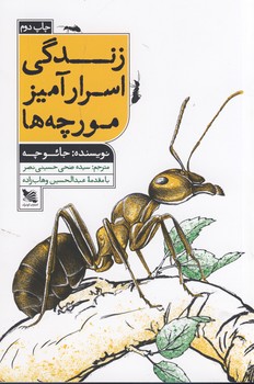 تصویر  زندگی اسرار آمیز مورچه ها