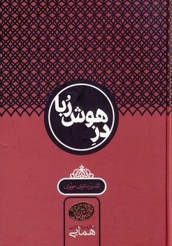 دز هوش ربا دز هوش ربا