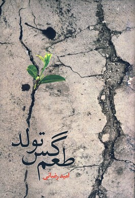 طعم گس تولد طعم گس تولد