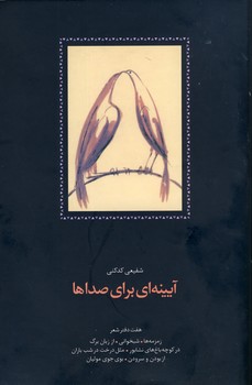 آيينه اي براي صداها آيينه اي براي صداها