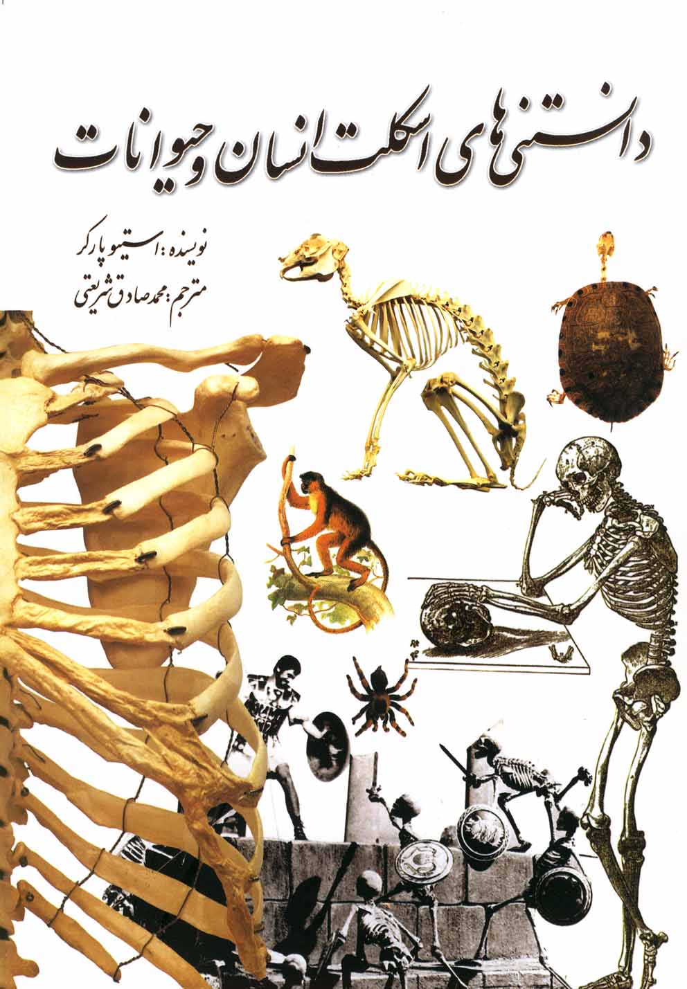 دانستنی‌های اسکلت انسان و حیوانات(سبزان) *