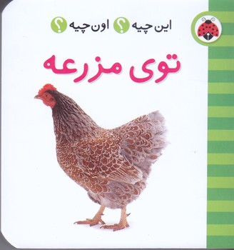 اين چيه اون چيه (توي مزرعه/جيبي/گالينگور/شهر قلم)