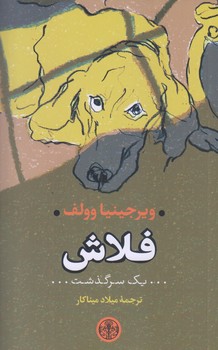 فلاش (يك سرگذشت/رقعي/شوميز/كتاب پارسه)