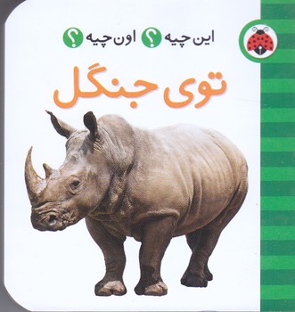 اين چيه اون چيه (توي جنگل/گالينگور/جيبي/شهر قلم) 