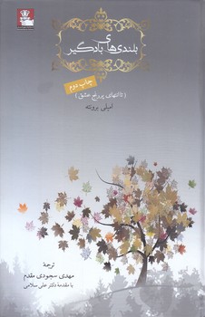 بلندي هاي بادگير(رقعي/گالينگور.مهرانديش)