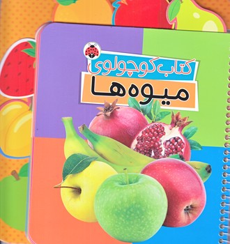 كتاب كوچولوي ميوه ها (سيمي/خشتي/زركوب/شهرقلم)