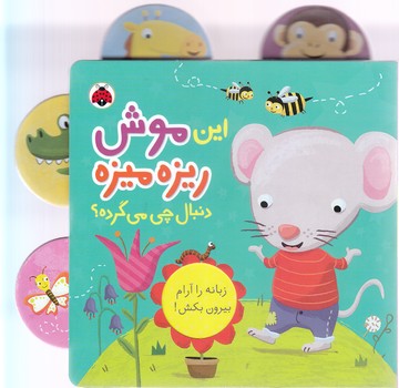 اين موش ريزه ميزه دنبال چي مي گرده (شهرقلم)