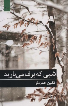 شبي كه برف مي باريد (بركه خورشيد)