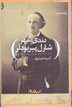 دندي شهر  (شعر/رقعي/شوميز/نيماژ)