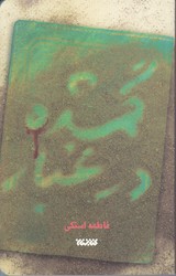 گمشده در غبار (رقعي/شوميز/كتابستان)
