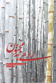 راهي به مجنون (رقعي/شوميز/شهيدكاظمي)