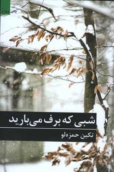 شبی که برف می بارید 