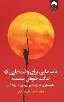نامه هایی برای وقت هایی که حالت خوش نیست