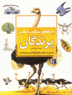 چراهاي شگفت انگيز پرندگان انيل (خوئي) محراب قلم