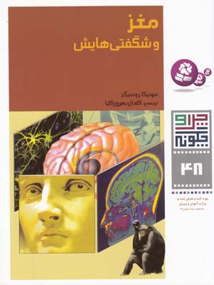 چرا و چگونه 48 مغز و شگفتي هايش روسيگر (بهروزكيا) قدياني