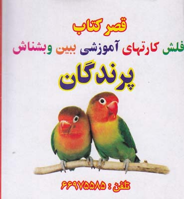 قصر كتاب فلش كارتهاي ببين و بشناس پرندگان قصر كتاب