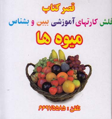 قصر كتاب فلش كارتهاي ببين و بشناس ميوه ها قصر كتاب