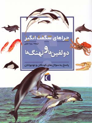 چراهاي شگفت انگيز دولفين ها و نهنگ ها (خوئي ) محراب قلم