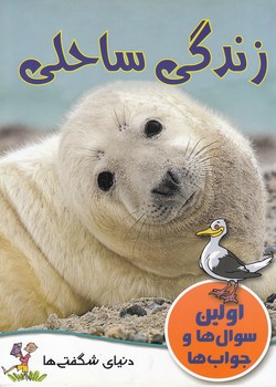 زندگي ساحلي ( اولين سوال ها و جواب ها (آنا كلي بورن) گنجينه دانش نوين