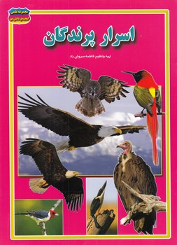 اسرار پرندگان (سروش راد) حباب