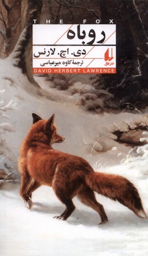 روباه - افق