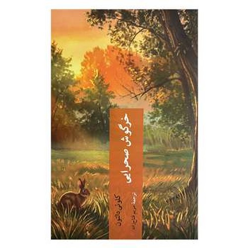 خرگوش صحرایی