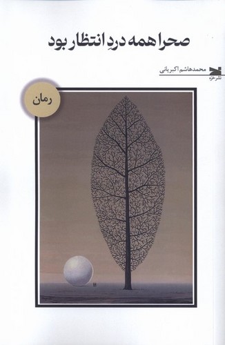 صحرا همه درد انتظار بود