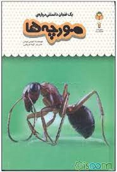  یک فنجان دانستنی: درباره مورچه ها 22