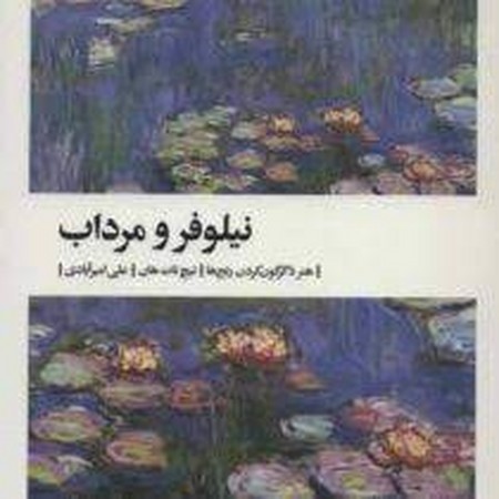 نیلوفر و مرداب (هنر دگرگون کردن رنج ها)،(شمیز،رقعی،بیدگل)