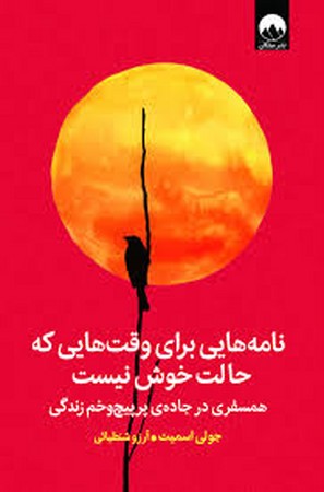 نامه هایی برای وقت هایی که حالت خوش نیست (همسفری در جاده ی پرپیچ و خم زندگی)،(شمیز،رقعی،میلکان)