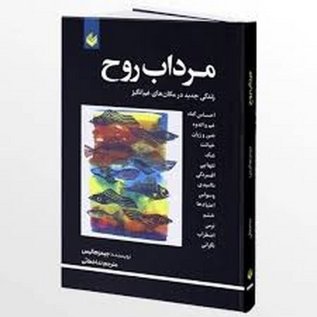 مرداب روح (شمیز،رقعی،اندیشه بیگی)