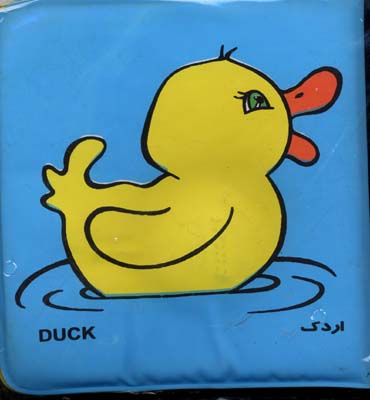 کتاب-حمام-اردک-(متوسط-3)