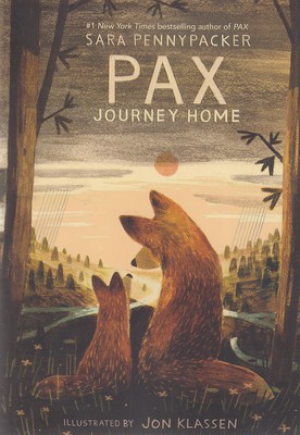 pax-journey-home
