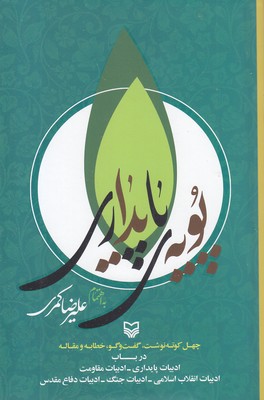 پویه-پایداری