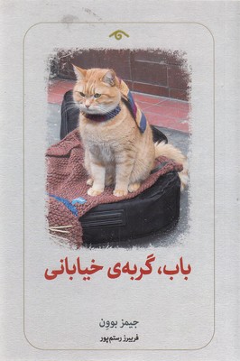 باب-گربه-خیابانی