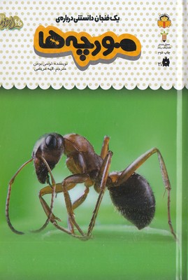 یک-فنجان-دانستنی-درباره-ی-22-مورچه-ها