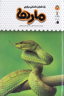 یک-فنجان-دانستنی-درباره-ی-19-مارها