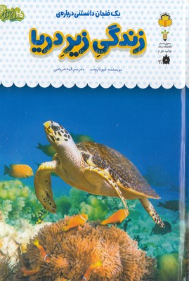 یک-فنجان-دانستنی-درباره-ی-31-زندگی-زیر-دریا