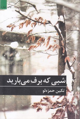شبی-که-برف-می-بارید