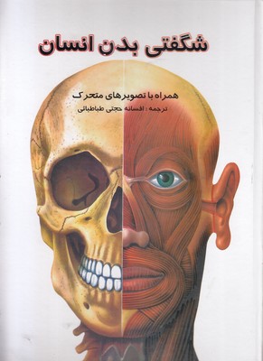 شگفتیهای-بدن-انسان شگفتیهای-بدن-انسان