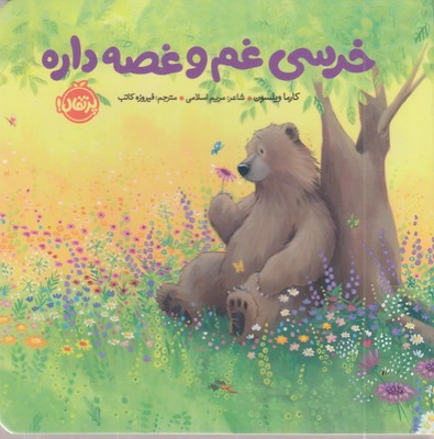 خرسی-و-دوستانش-خرسی-غم-و-غصه-داره-مناسب-قبل-از-دبستان-