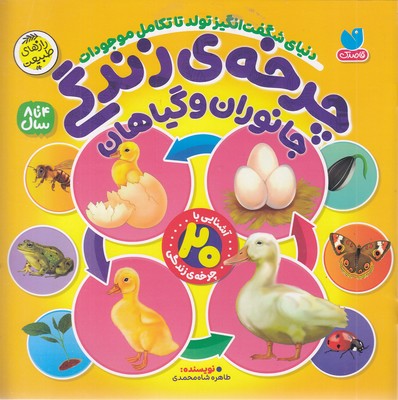 چرخه ی زندگی-جانوران و گیاهان-4 تا 8 سال