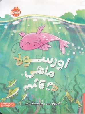 اورسولا-ماهی-سروته-مناسب-5-سال-به-بالا