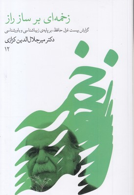 زخمه-ای-بر-ساز-راز